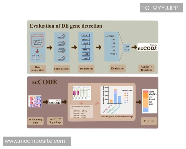 北京足球队团队协作表现的数据分析与提升策略探讨 北京足球队团队协作表现的数据分析与提升策略探讨