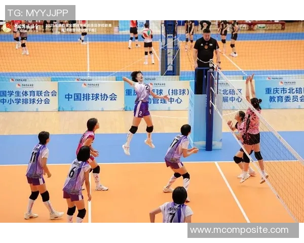 成都排球队与北京排球队赛后战术分析与复盘探讨