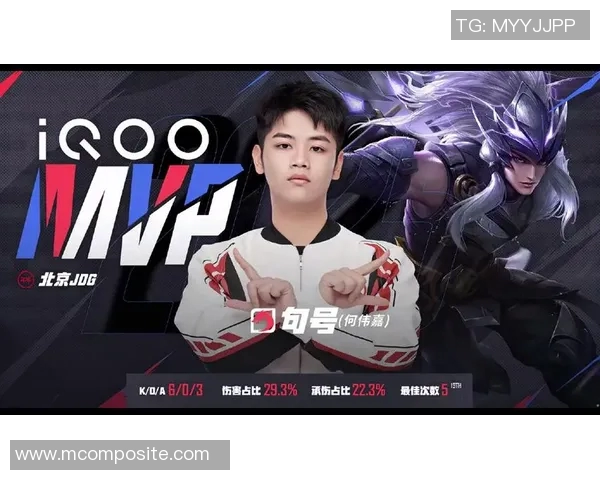 王者荣耀评论分析JDG反击策略的得失与未来展望