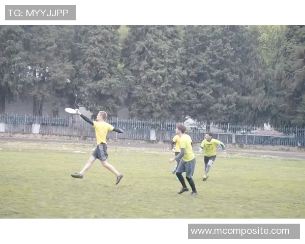 飞盘耐力训练全解析从基础到进阶的全面指南