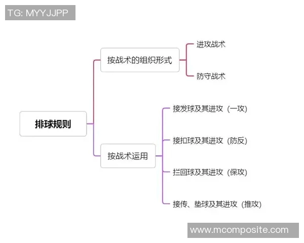 上海排球队区域防守策略解析与深度剖析排球战术的奥秘