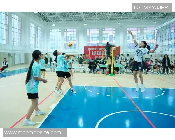 广州排球队比赛经验深度解析与发展策略探讨