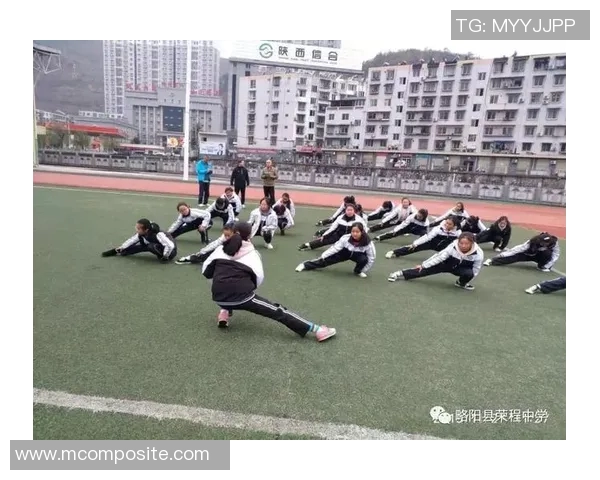 成都羽毛球队实力分析：聚焦训练成果与比赛表现的全面探讨