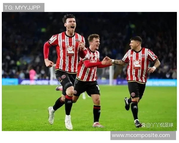 谢菲尔德星主场迎战赫尔城全力争胜展现实力与斗志