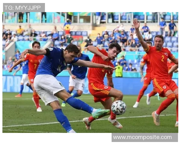 法国与丹麦精彩对决录像回放分析与精彩瞬间回顾