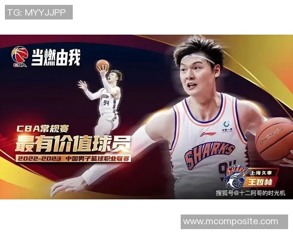 王哲林在CBA赛场的崛起与未来发展潜力分析