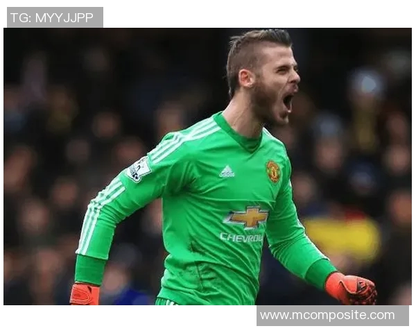 德赫亚与雷纳的巅峰对决谁能在球场上书写传奇篇章