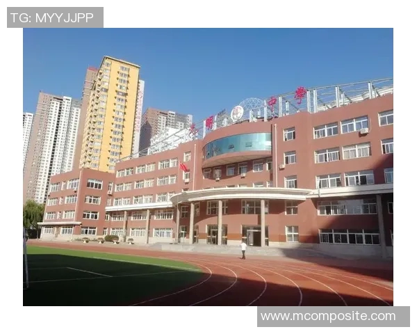 赵强专访：从青涩少年到篮球巨星的奋斗与成长之路